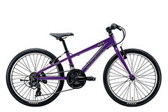 MIDDNIGHT PURPLE (270mm)