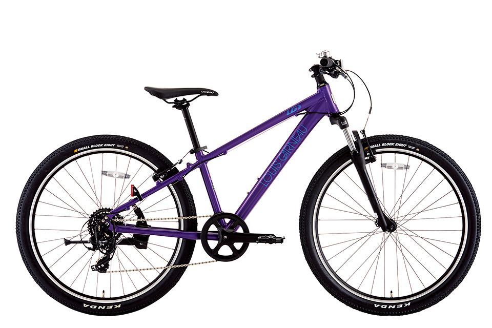  MATTE DEEP PERPLE (340mm)