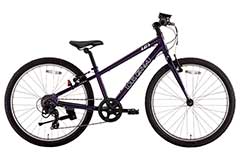 DARK BLUISH PURPLE（300mm）